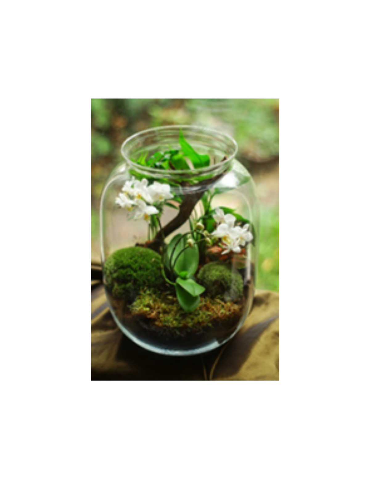 terrarium in a glass jar 