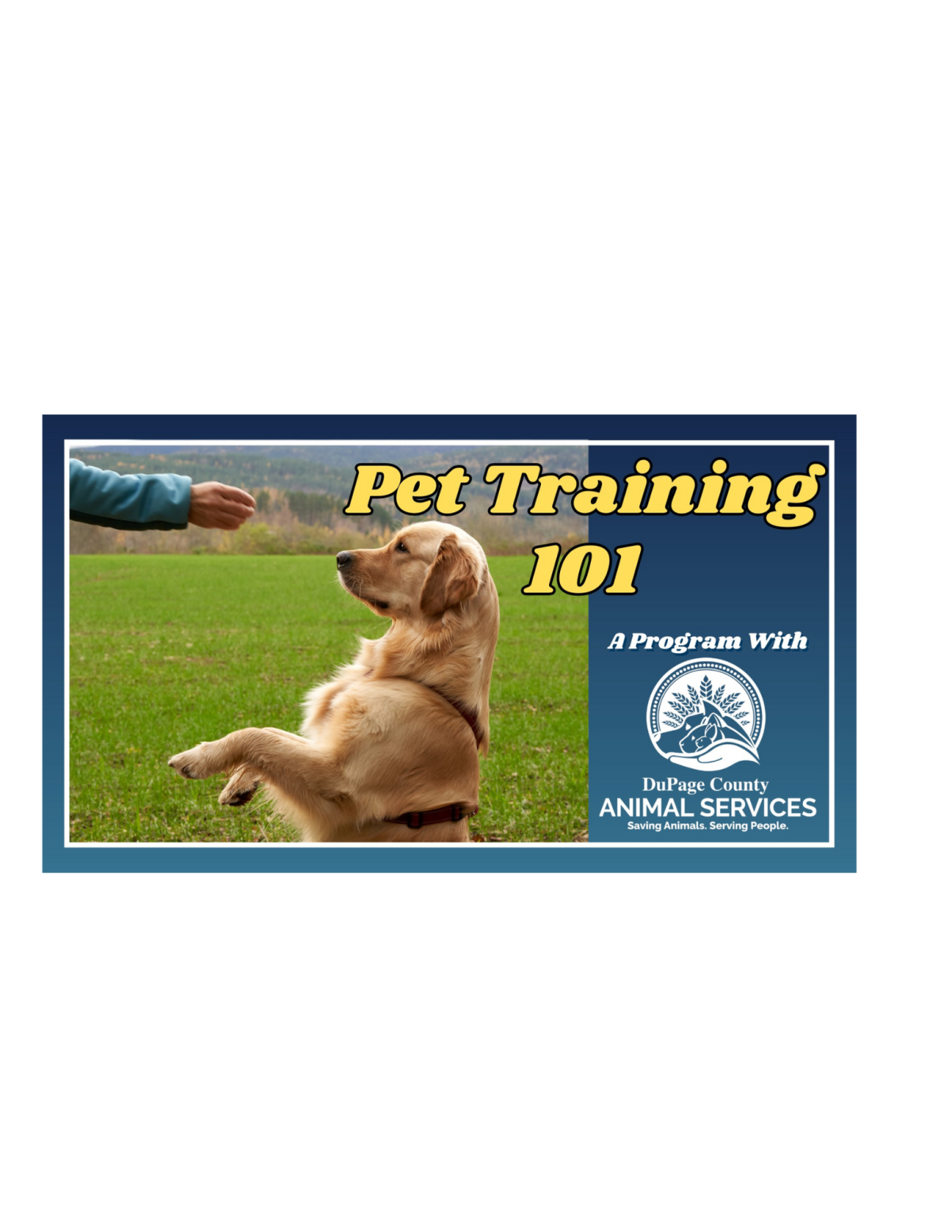 Pet training 101